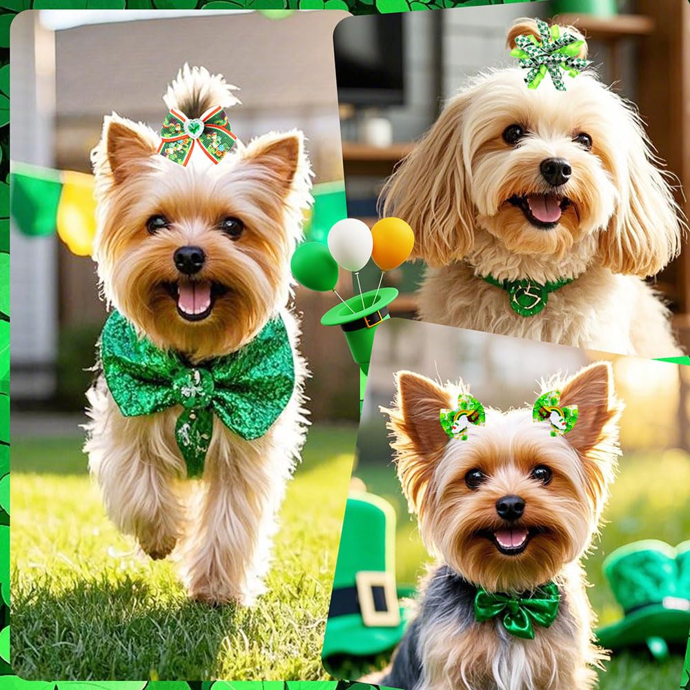 Bou Saint-Patrick Senniea pour chien, parfait pour fêtes et séances photo.