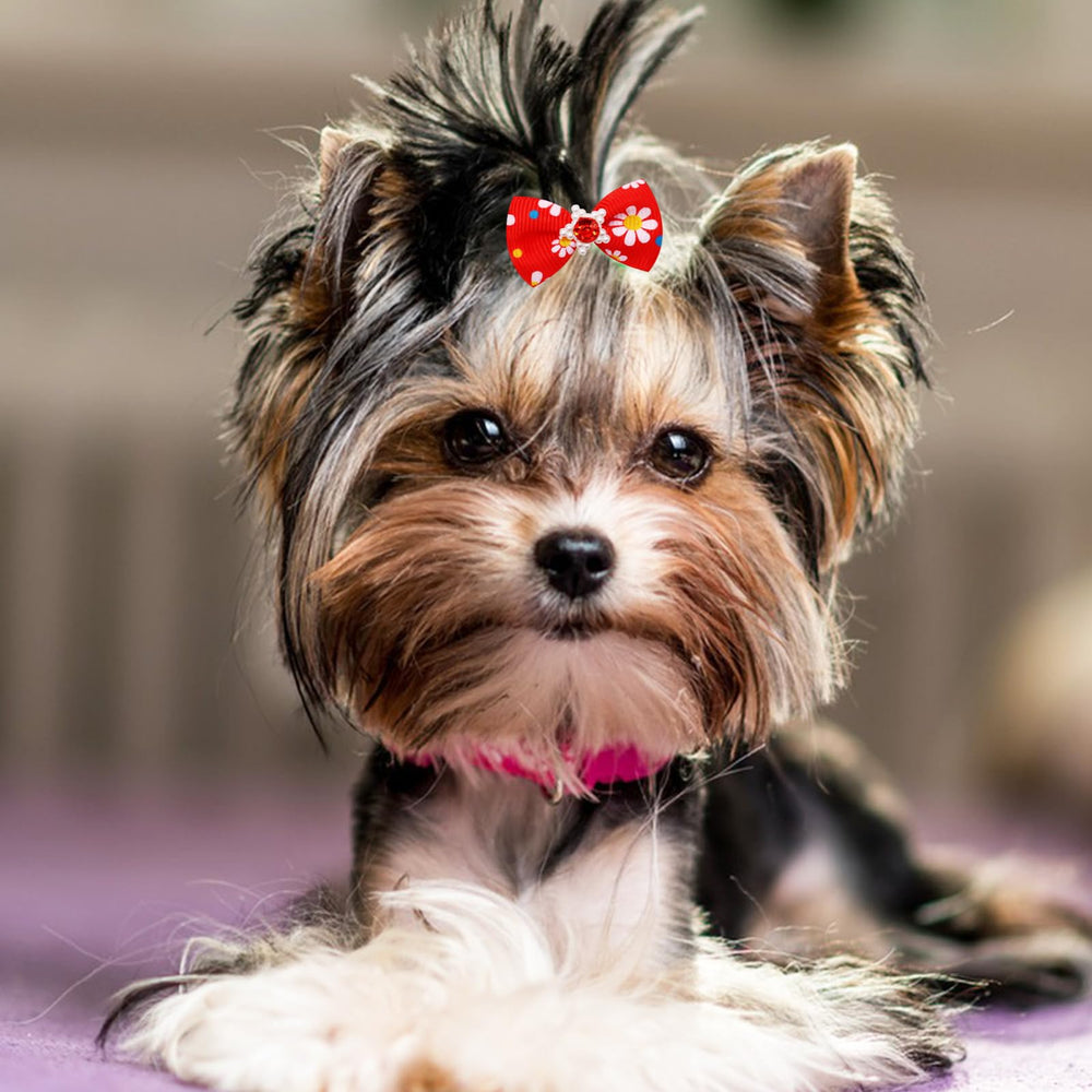 Senniea noeud chien collection variee: looks multiples pour differents styles