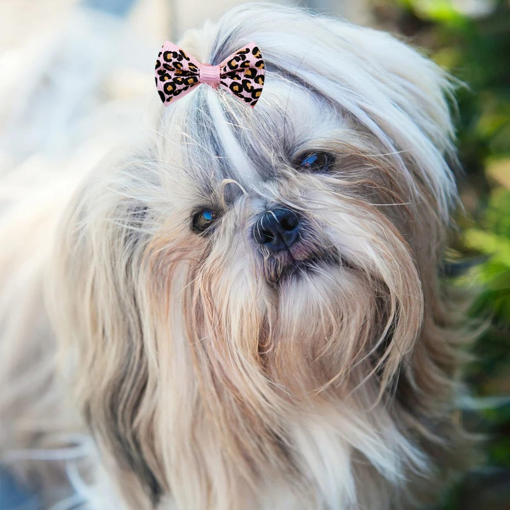 Senniea — noeud-petit-chien-multicolore, ensemble charmant pour looks quotidiens.
