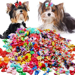 Senniea noeud chien bandes elastiques: tenue fiable pendant le toilettage