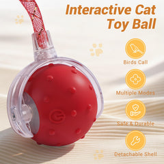 Sentoo Balle Chat Interactive mode doux convient aux chats timides.