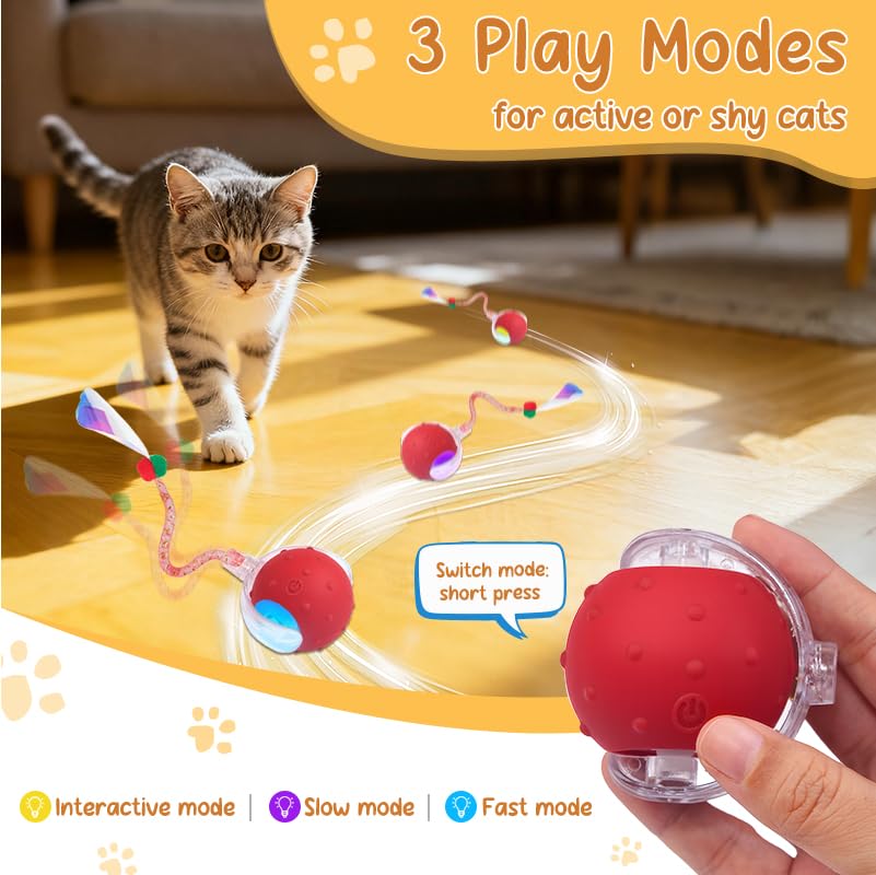 Sentoo Balle Chat Interactive queue elastique avec clochette offre un jeu sensoriel.