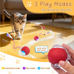 Sentoo Balle Chat Interactive queue elastique avec clochette offre un jeu sensoriel.
