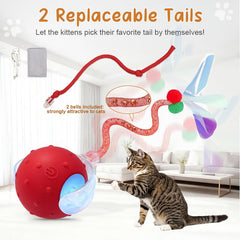 Sentoo Balle Chat Interactive queue rapide rouge imite une proie.