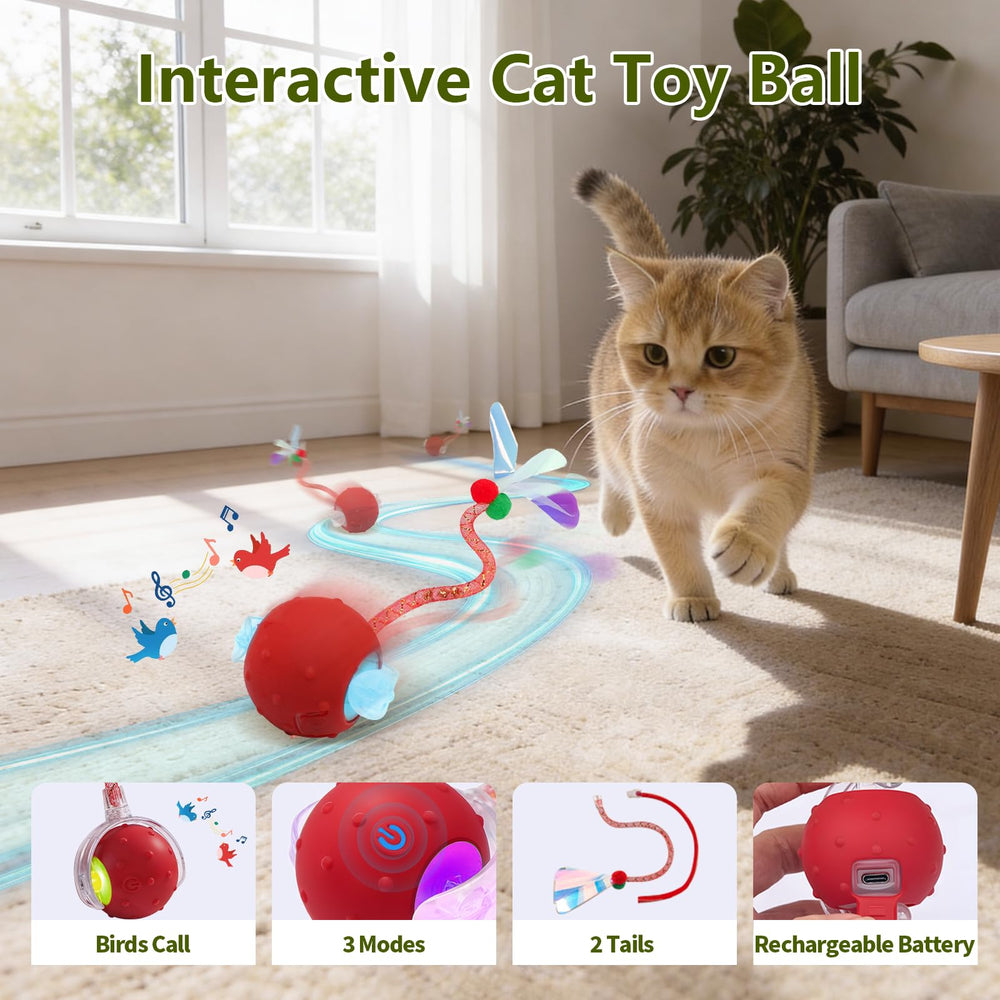 Sentoo tunnel chat 3-en-1 securisant et pliable pour exploration.