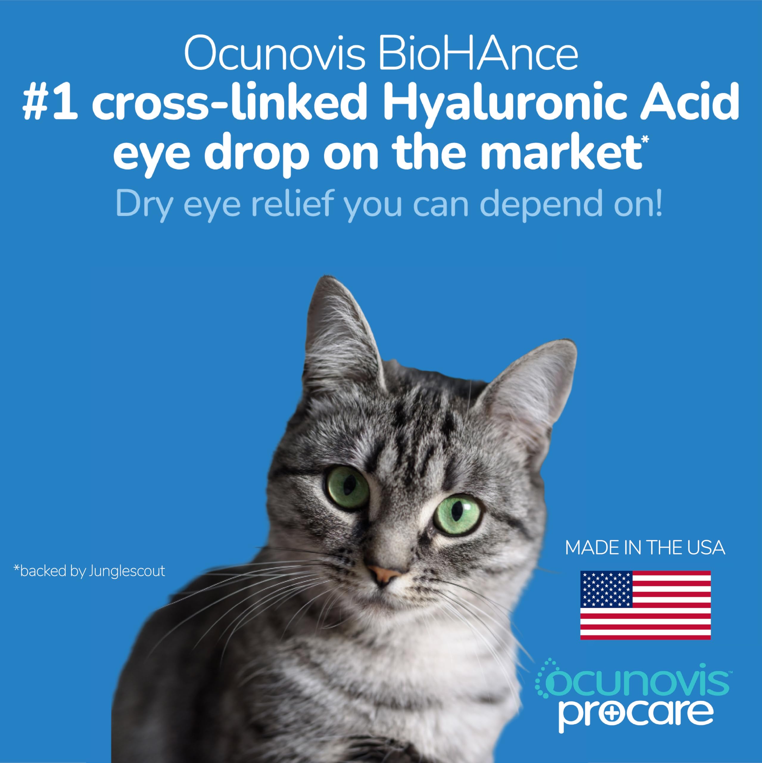 Sentrx Ocunovis ProCare gros plan sur les yeux d'un chat
