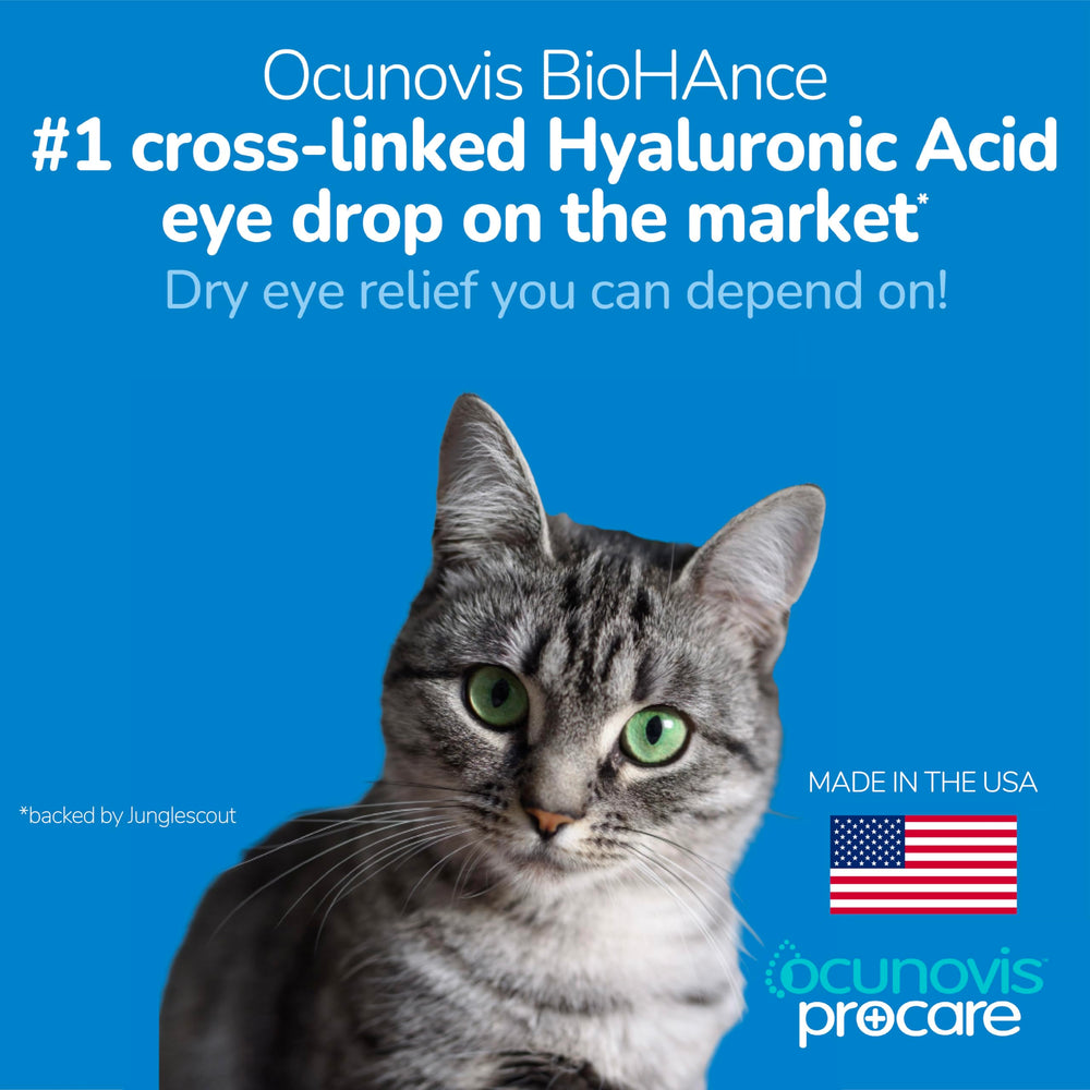 Sentrx Ocunovis ProCare gros plan sur les yeux d'un chat