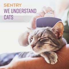 Boîte Sentry et trois colliers apaisants prêts à l’emploi pour calmer les chats.