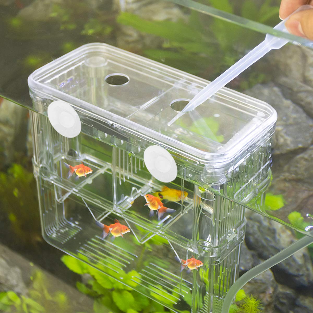 Senzeal accessoires poissons kit pratique pour l'élevage