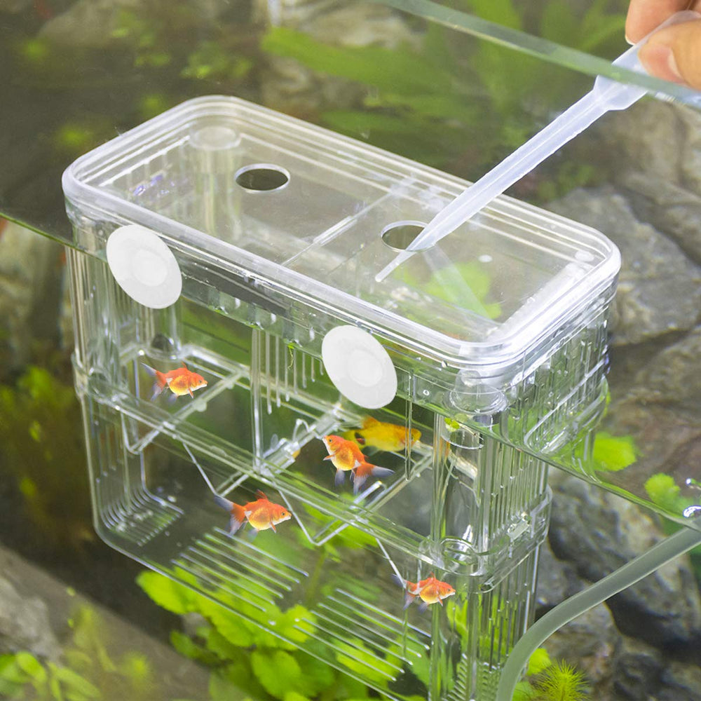 Senzeal accessoires poissons kit pratique pour l'élevage