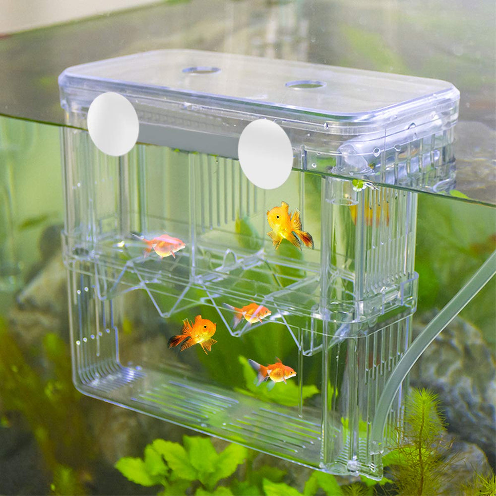 Senzeal bac élevage gain espace adapté aux petits aquariums
