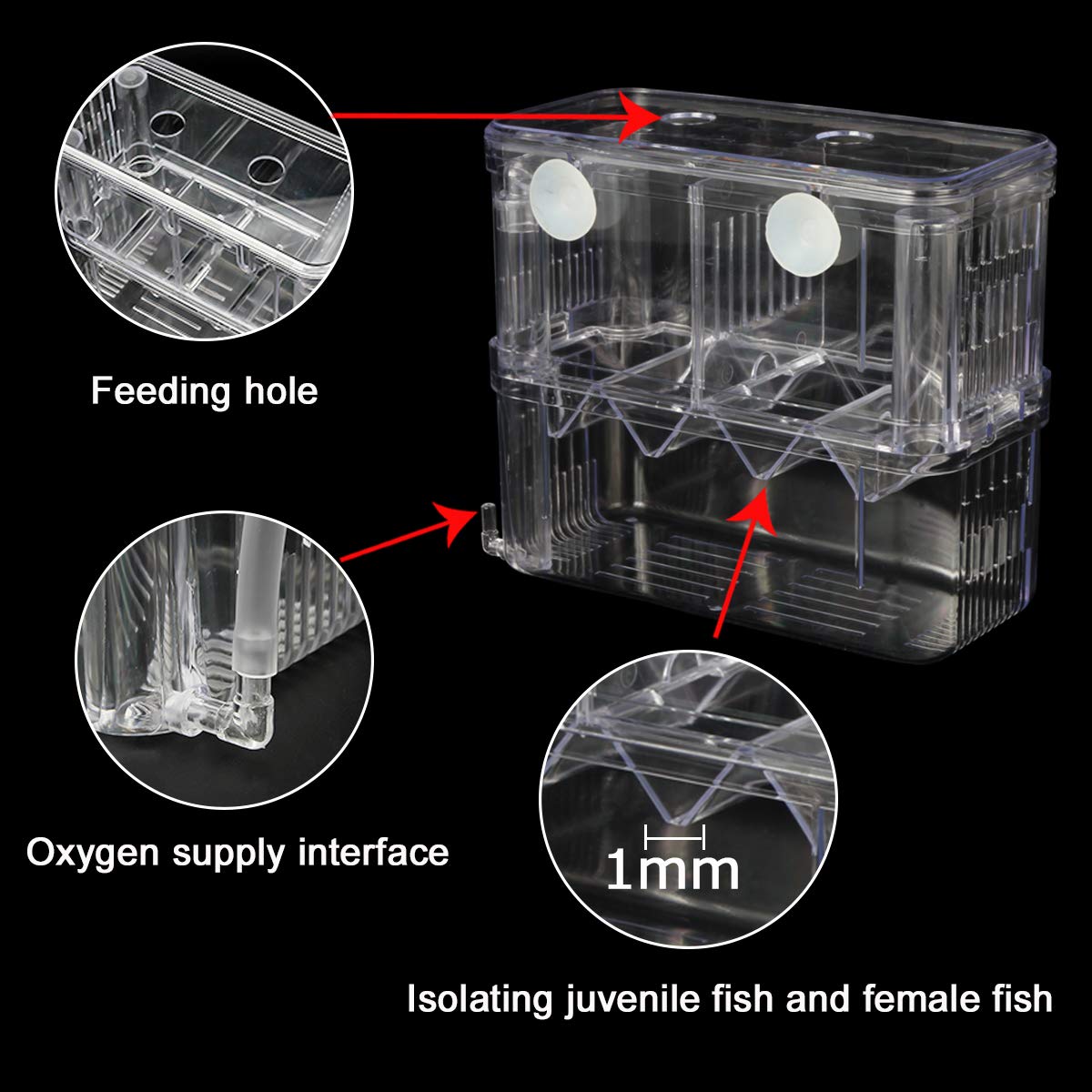 Senzeal bac isolement protection des poissons agressifs