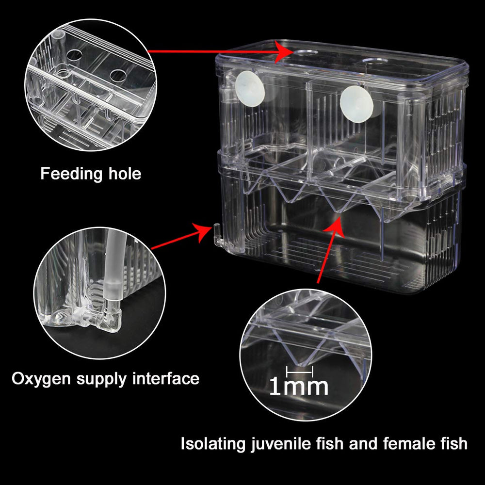 Senzeal bac isolement protection des poissons agressifs