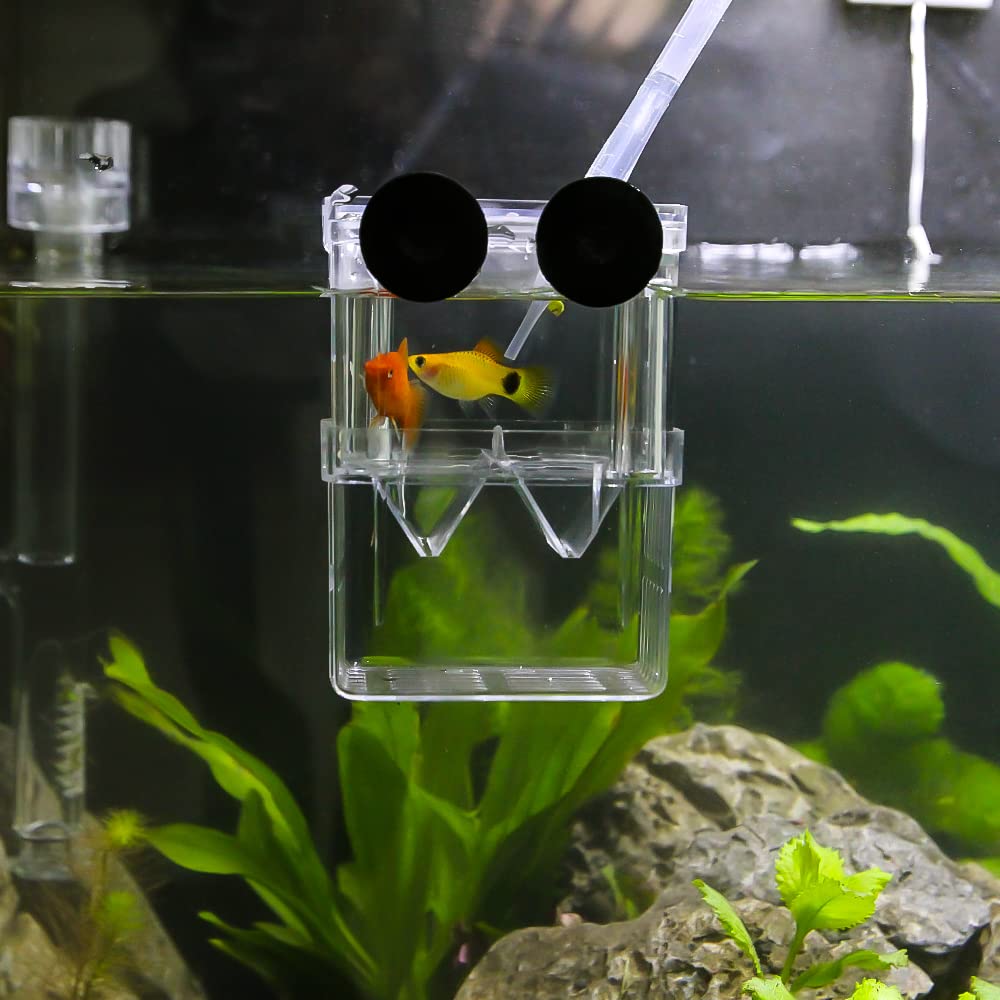 Senzeal: boîte double couche, économie d'espace dans l'aquarium.
