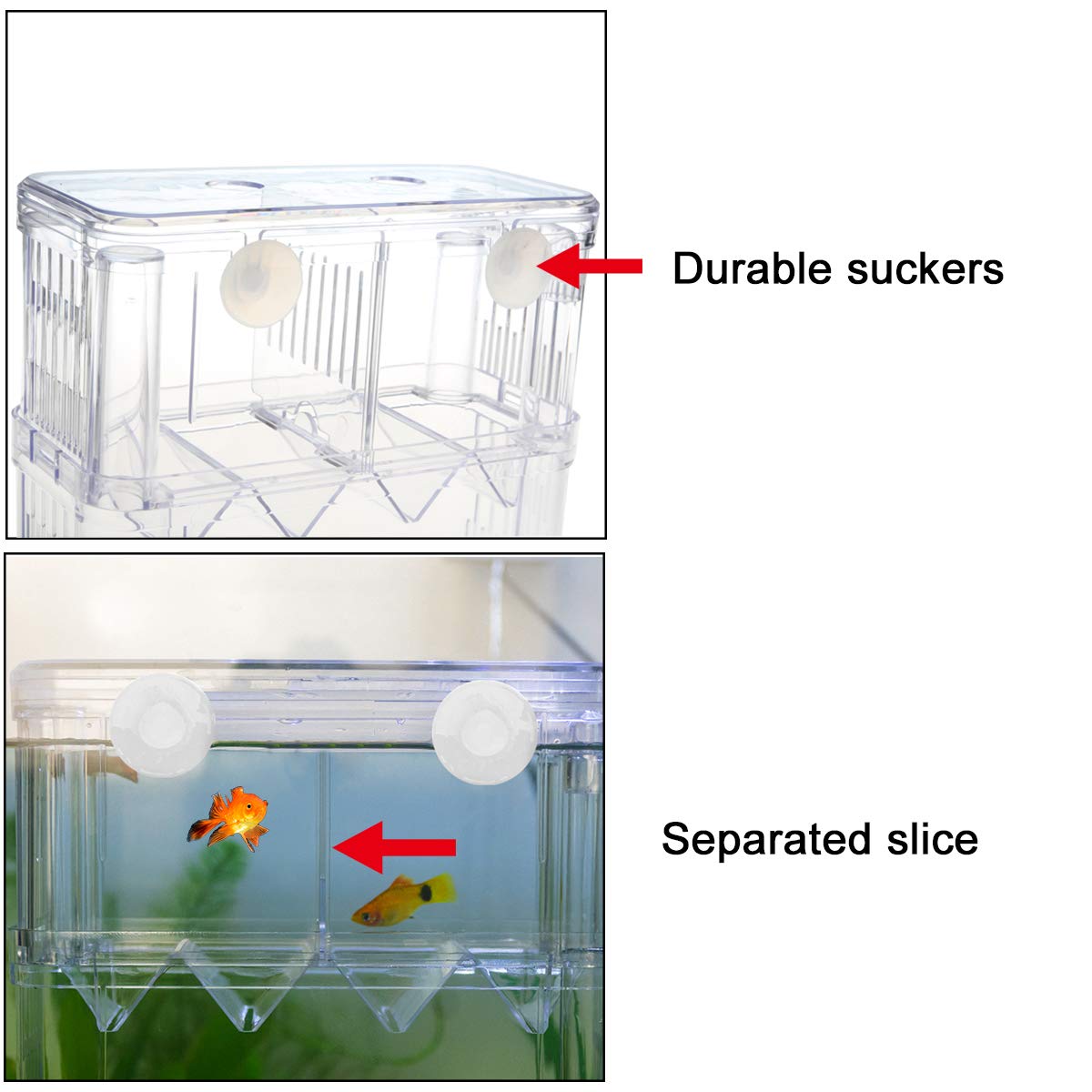 Senzeal boîte élevée poisson transparent surveillance visuelle claire