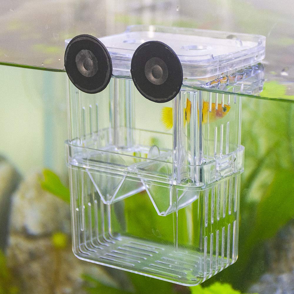 Senzeal: boîte d'élevage poisson, isolation transparente protégeant les alevins.