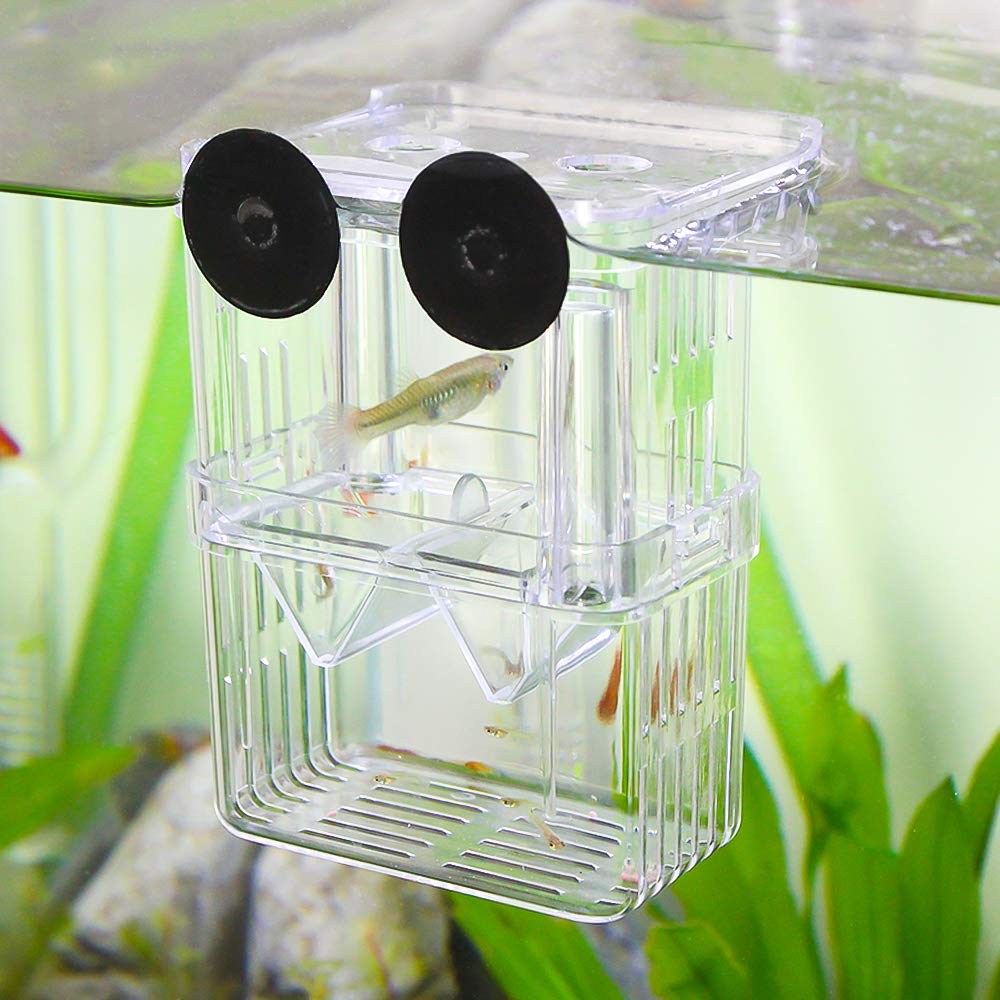 Senzeal: isolation poissons agressifs, protection des alevins et crevettes.