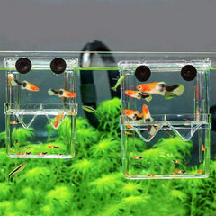 Senzeal: incubateur éclosion poisson, espace sûr pour les jeunes poissons.