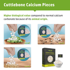 Sepia King calcium os de seiche poudre – complément naturel pour animaux.