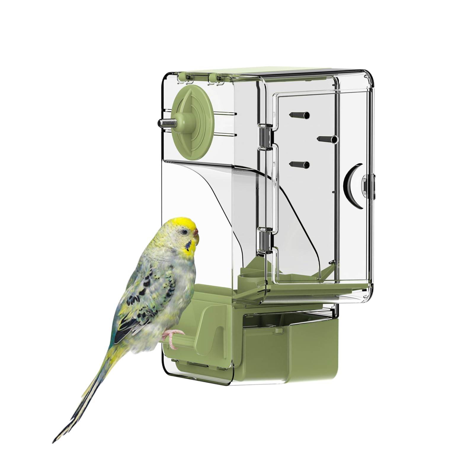 Septillar distributeur automatique d'oiseaux avec perchoir, alimentation pratique et propre.