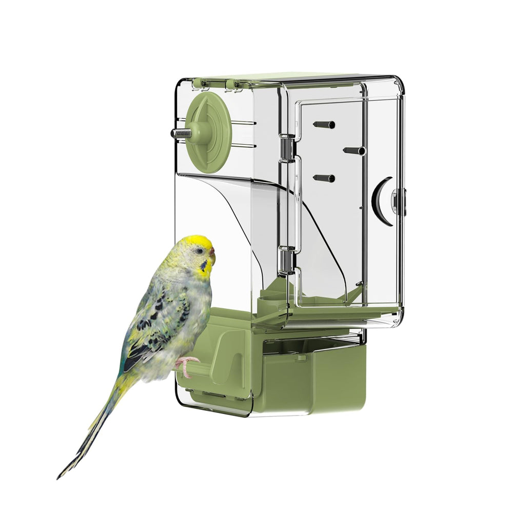 Septillar distributeur automatique d'oiseaux avec perchoir, alimentation pratique et propre.