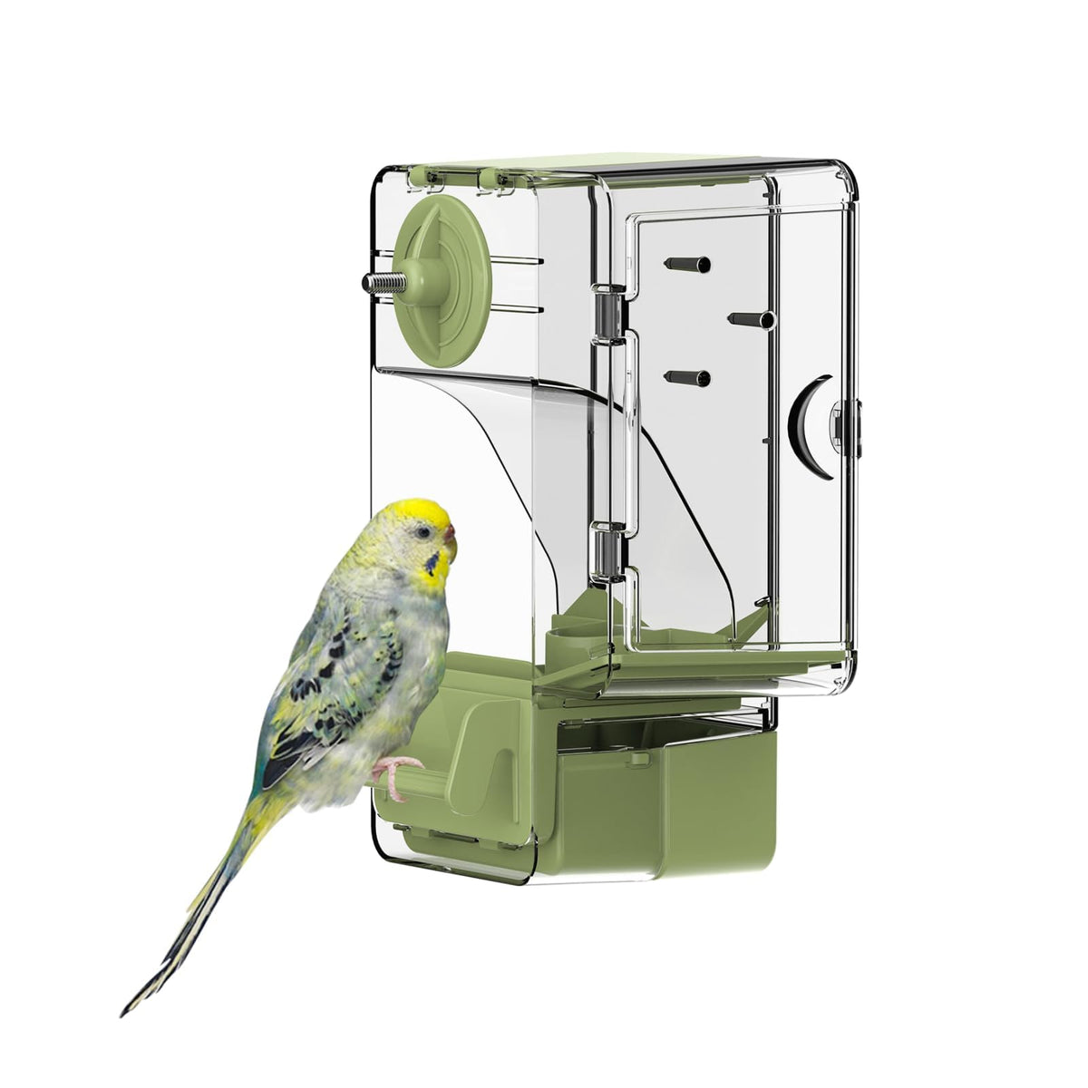 Septillar distributeur automatique d'oiseaux avec perchoir, alimentation pratique et propre.