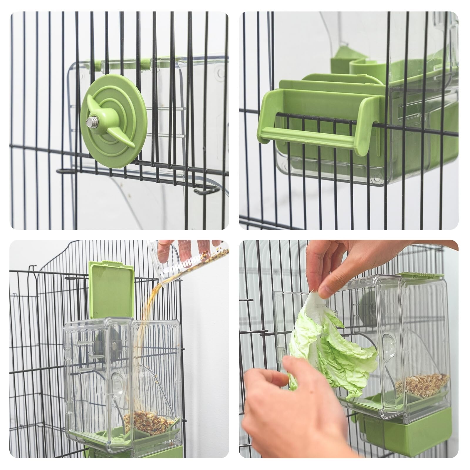 Septillar nettoyage facile, tiroir bas collecte débris pour cage propre.
