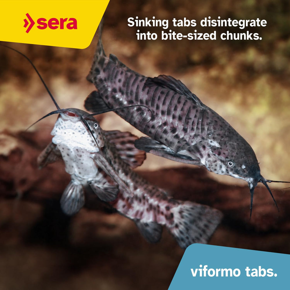 Sera Viformo Nature: alimentation favorable à une eau claire et saine.