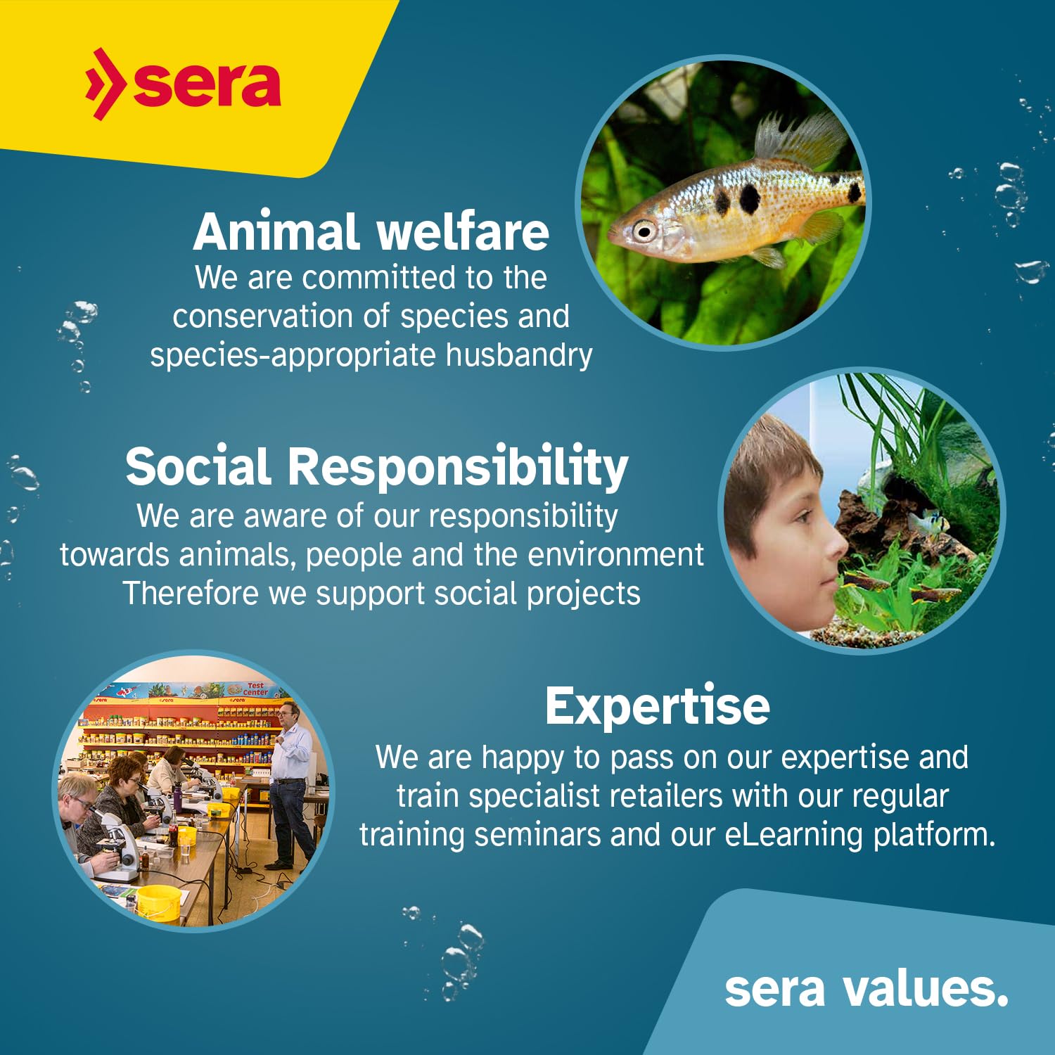 Sera Vipagran granules-alimentation-bassin : nutrition équilibrée pour poissons de bassin.