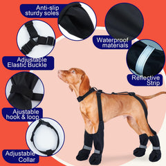 SeranPup bottes impermeables protègent les pattes sous neige et pluie
