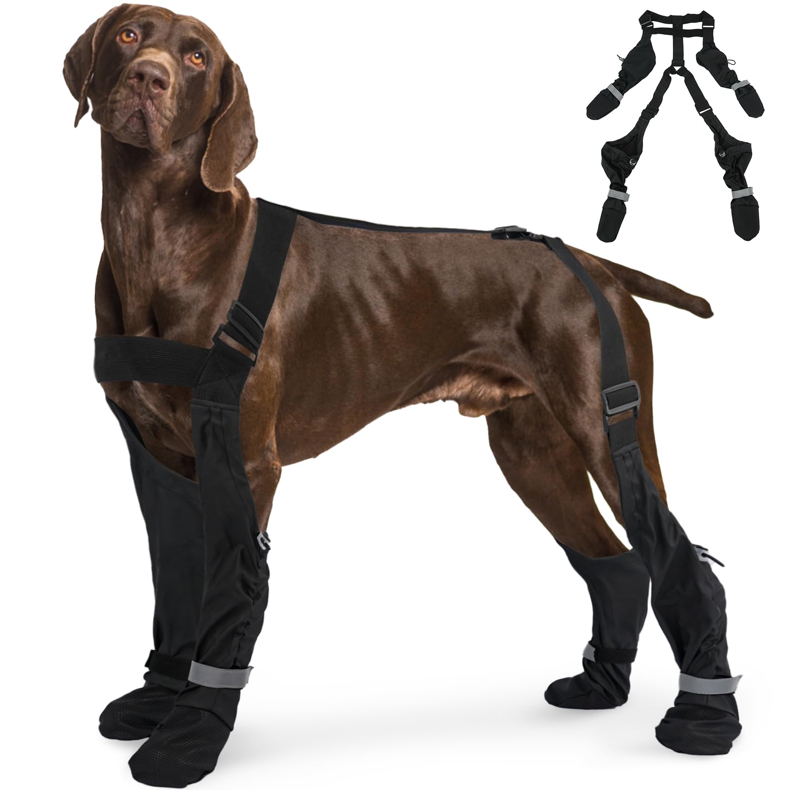 SeranPup L: bottes chien quatre pattes, adhérence renforcée.