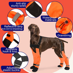 SeranPup: reglage-securise bottes pour ajustement parfait et traction fiable.