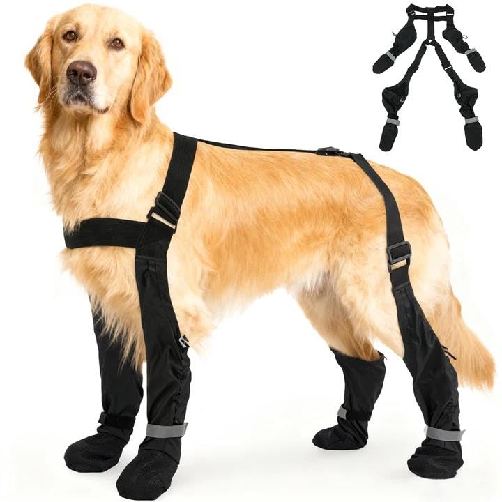 Bottes SeranPup XXL pour chien, ajustables pour grandes races et confort durable