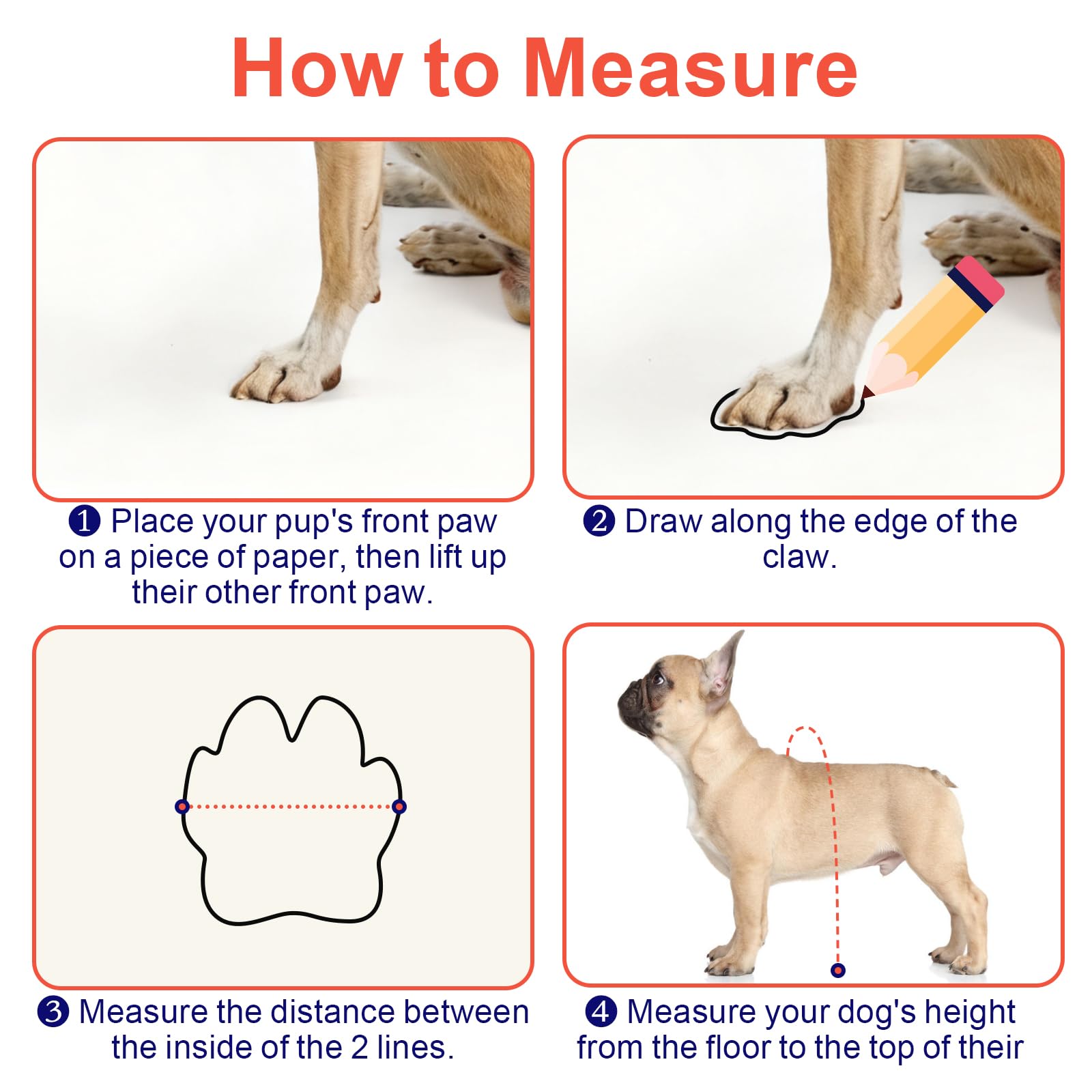 SeranPup guide des tailles XS à XXL pour un ajustement précis