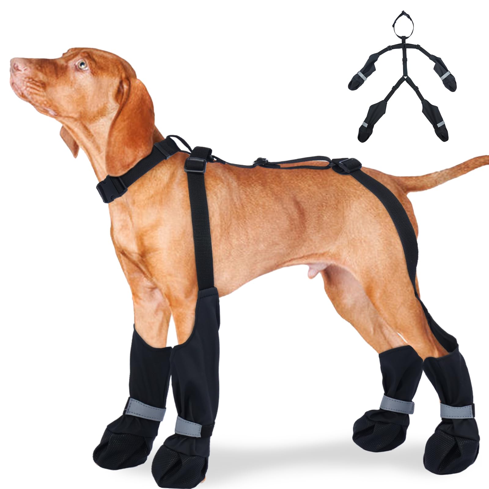 SeranPup L : bottes chien anti-dérapantes et imperméables pour l'extérieur.