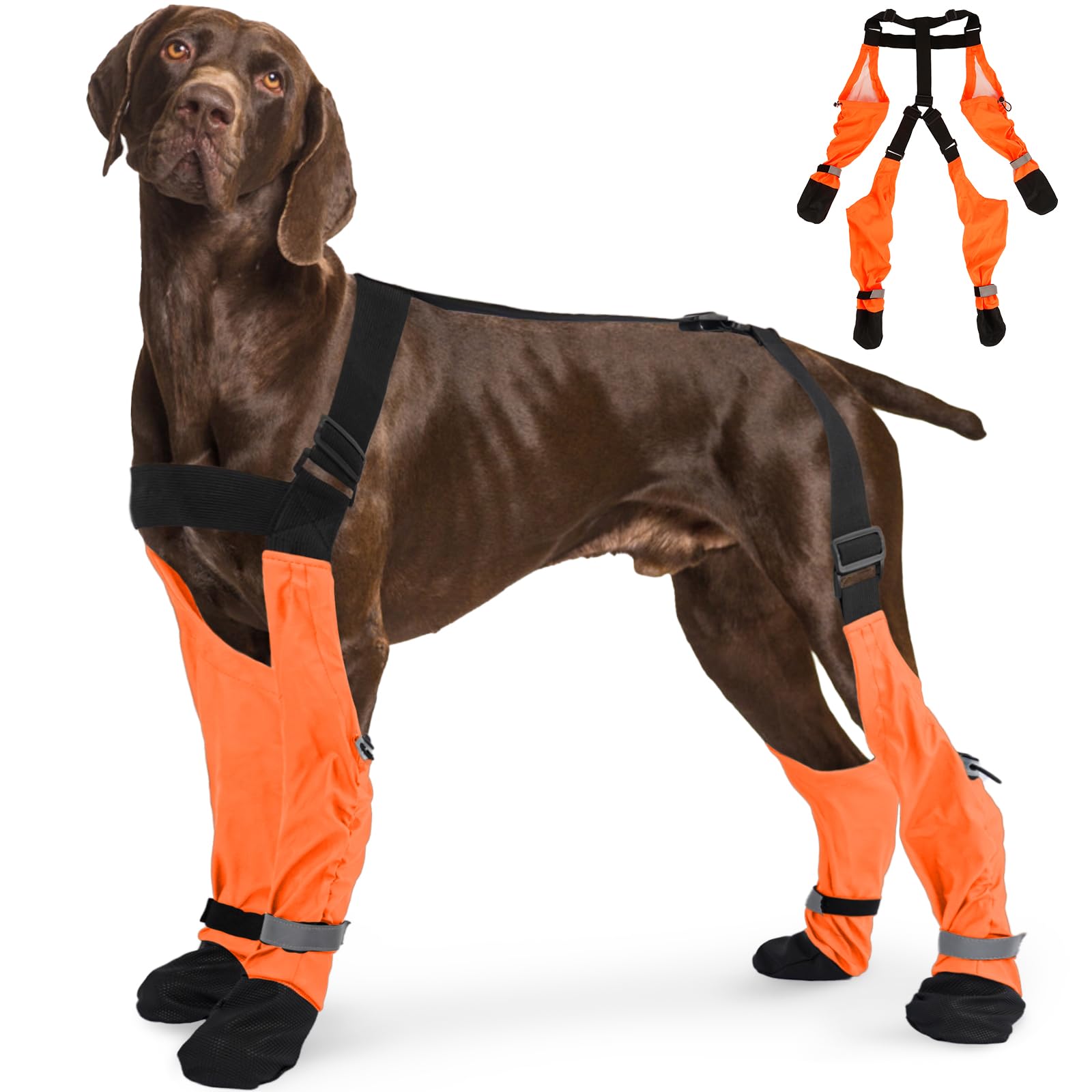 SeranPup L bottes pour chien Bulldog: traction durable pour sorties quotidiennes.