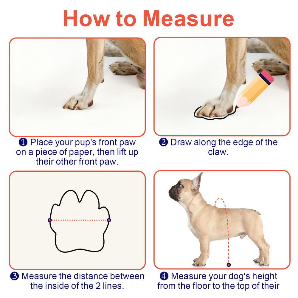 SeranPup L : guide des tailles XS à XXL pour tous les chiens.