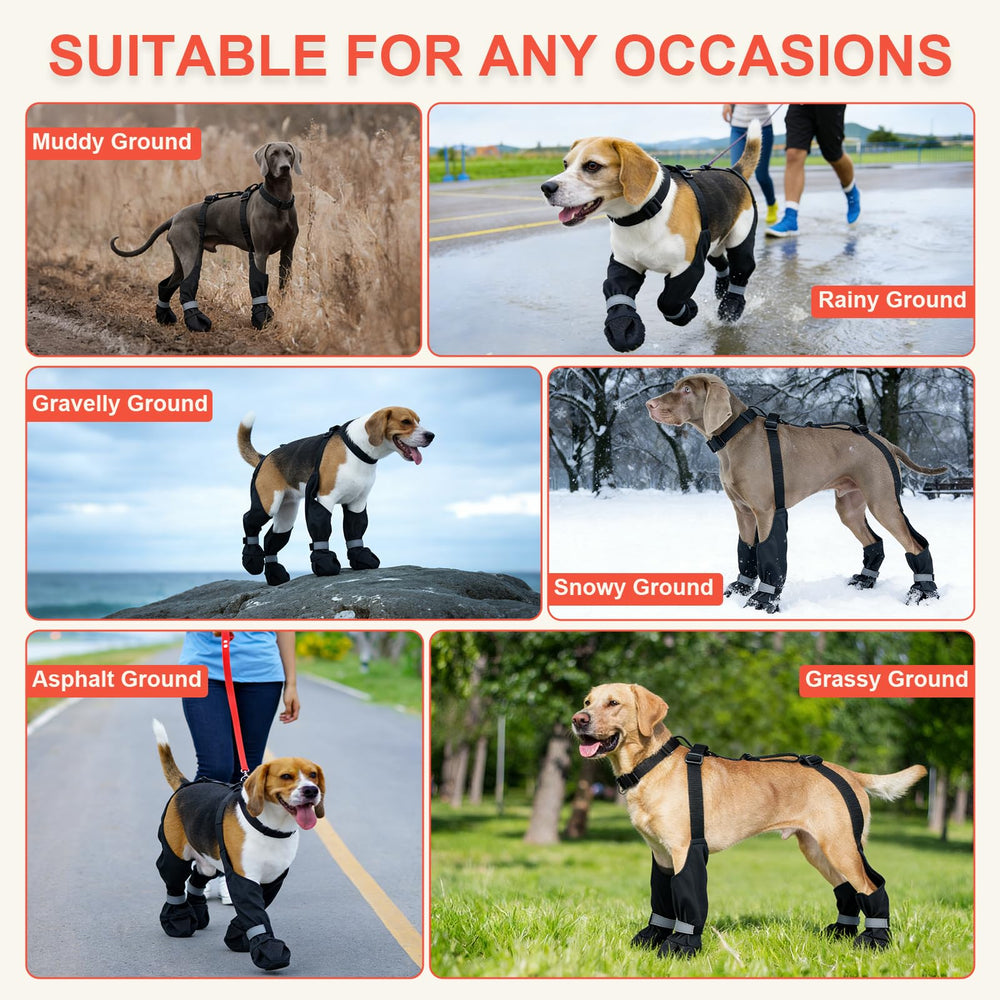 SeranPup L : mise en place rapide et facile en 30 secondes.