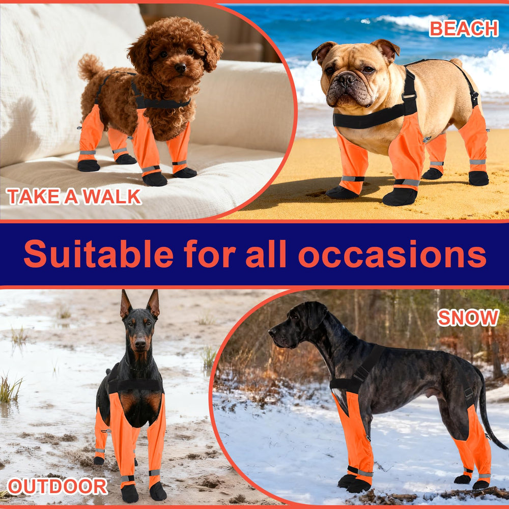 SeranPup XXL bottes pour chien anti-glisse offrant une traction fiable