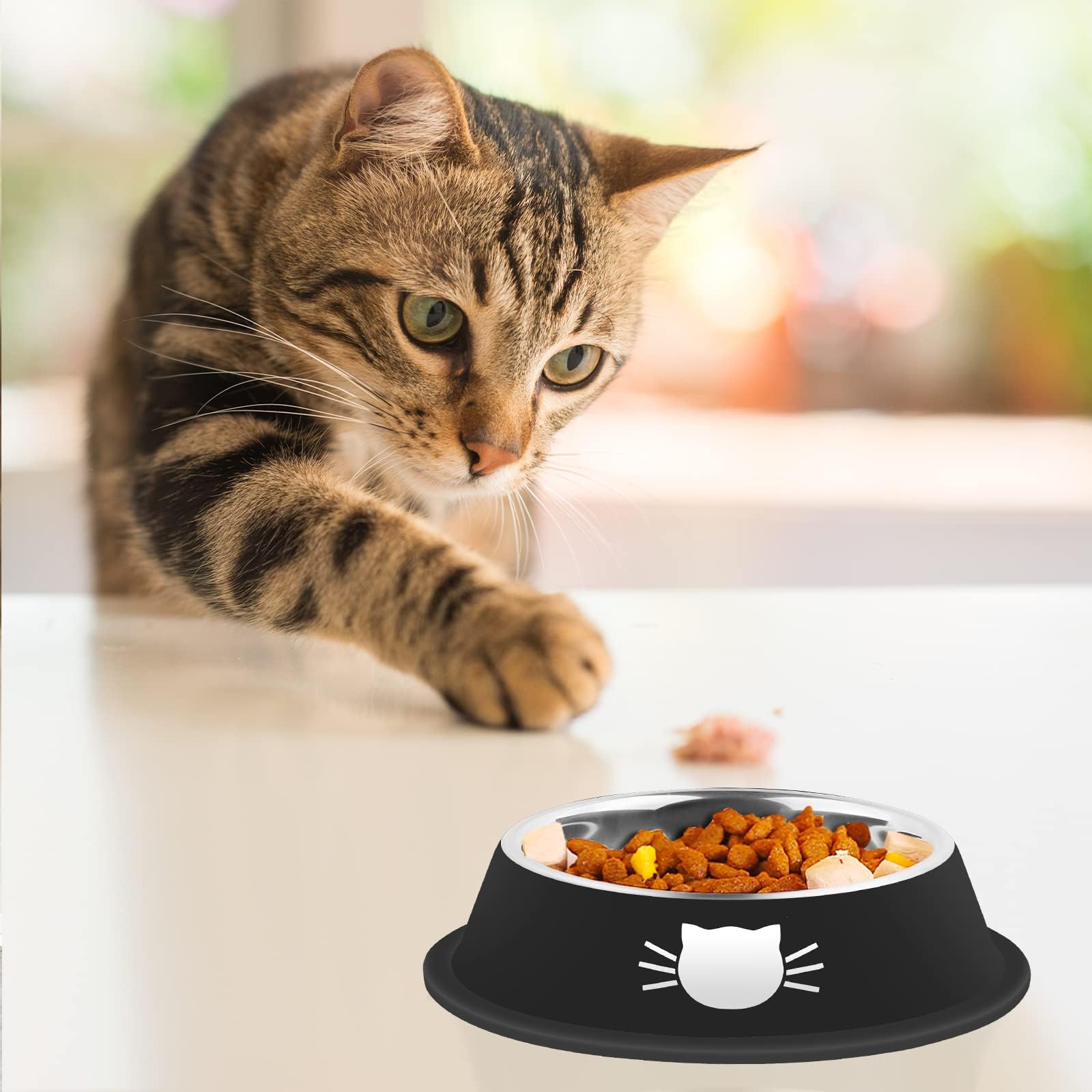 Bols Serentive rebord peu profond, confort pour moustaches durant le repas.