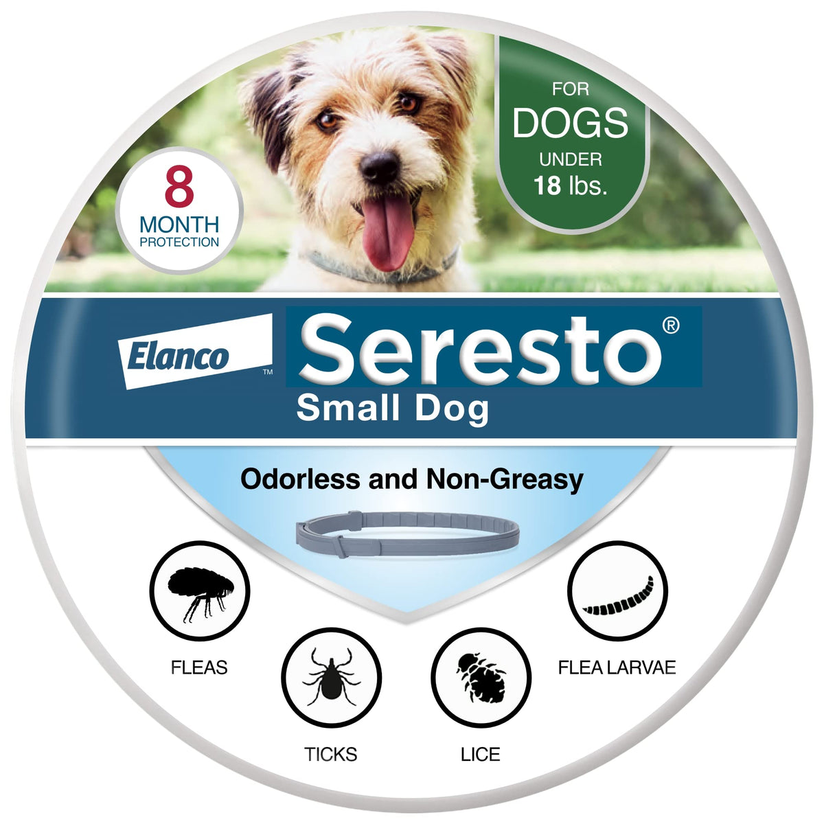 Seresto collier pour petit chien, aperçu produit, protection durable