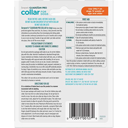 Collier anti-puces et tiques Guardian Pro sur chien lors d'une promenade.