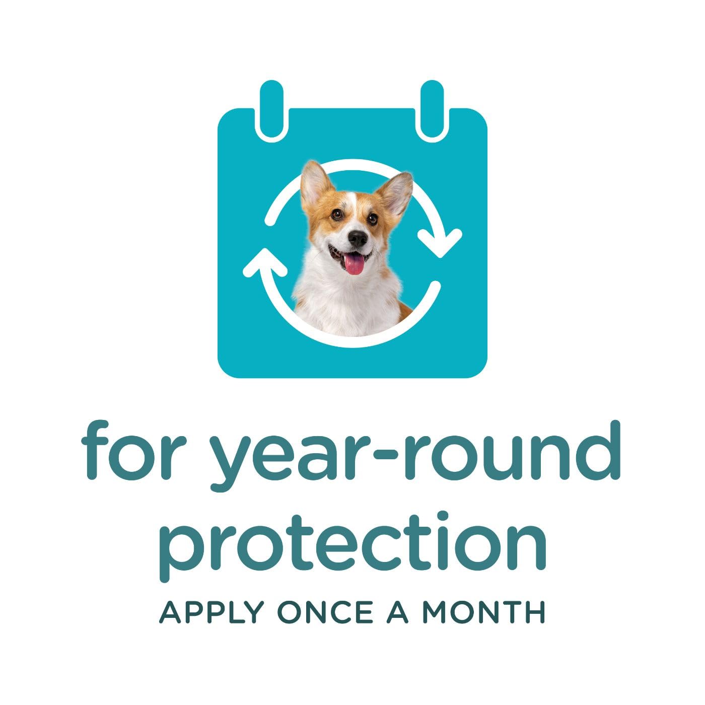 Sergeant's Guardian Topique – solution pratique pour l'usage quotidien.