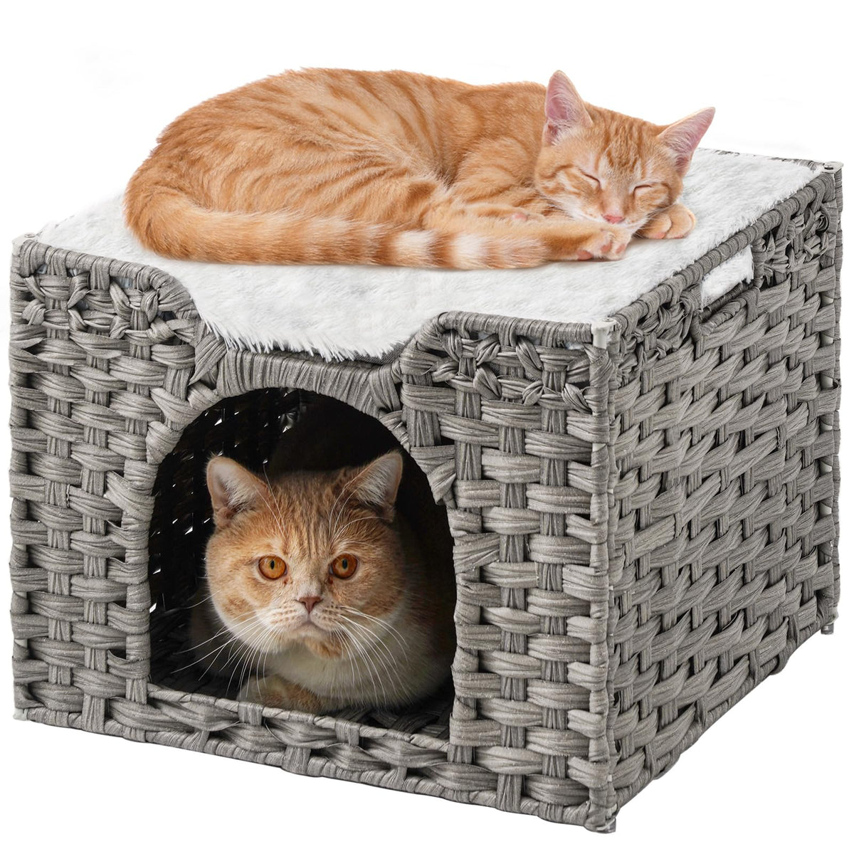 SETVSON cabane-chat-tressee-main offre un refuge privé et confortable.
