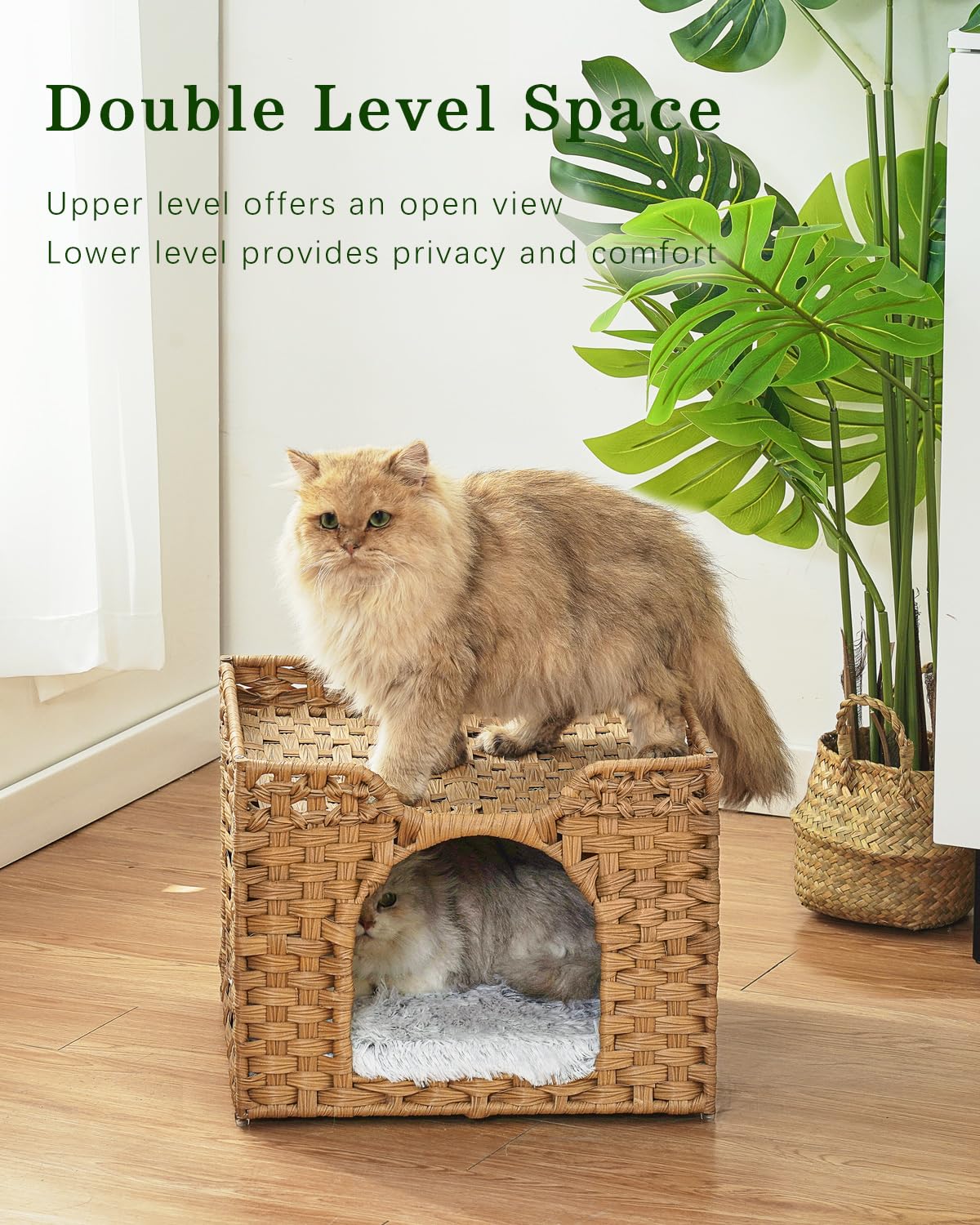 SETVSON habitat-chat cube rotin: refuge privé pour détente et jeux.