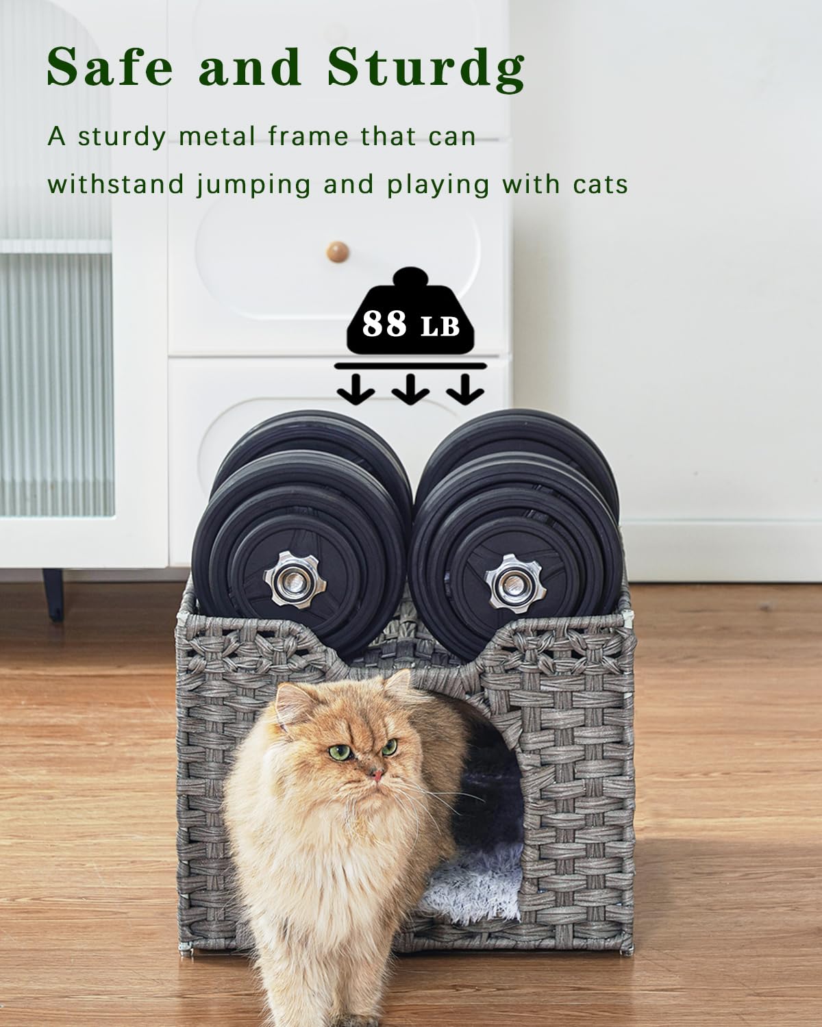 SETVSON coussin-double-face-matelas convient été et hiver pour chats.