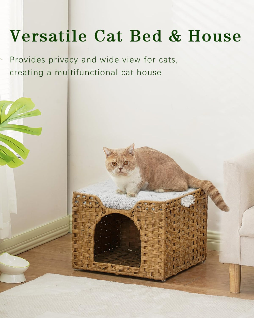SETVSON espace salon chic: intégration moderne et calme pour le chat.
