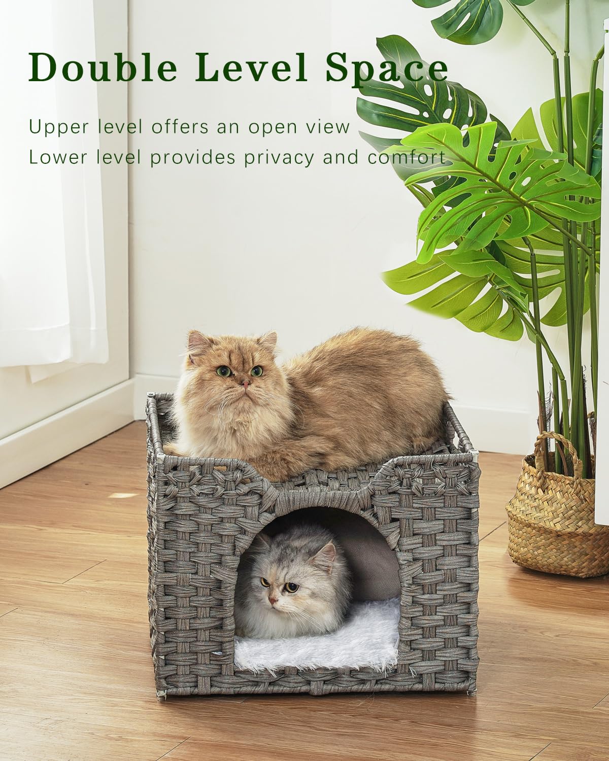 SETVSON nid-chat-grande-dimension-16-5-pouces offre espace sûr pour chats.