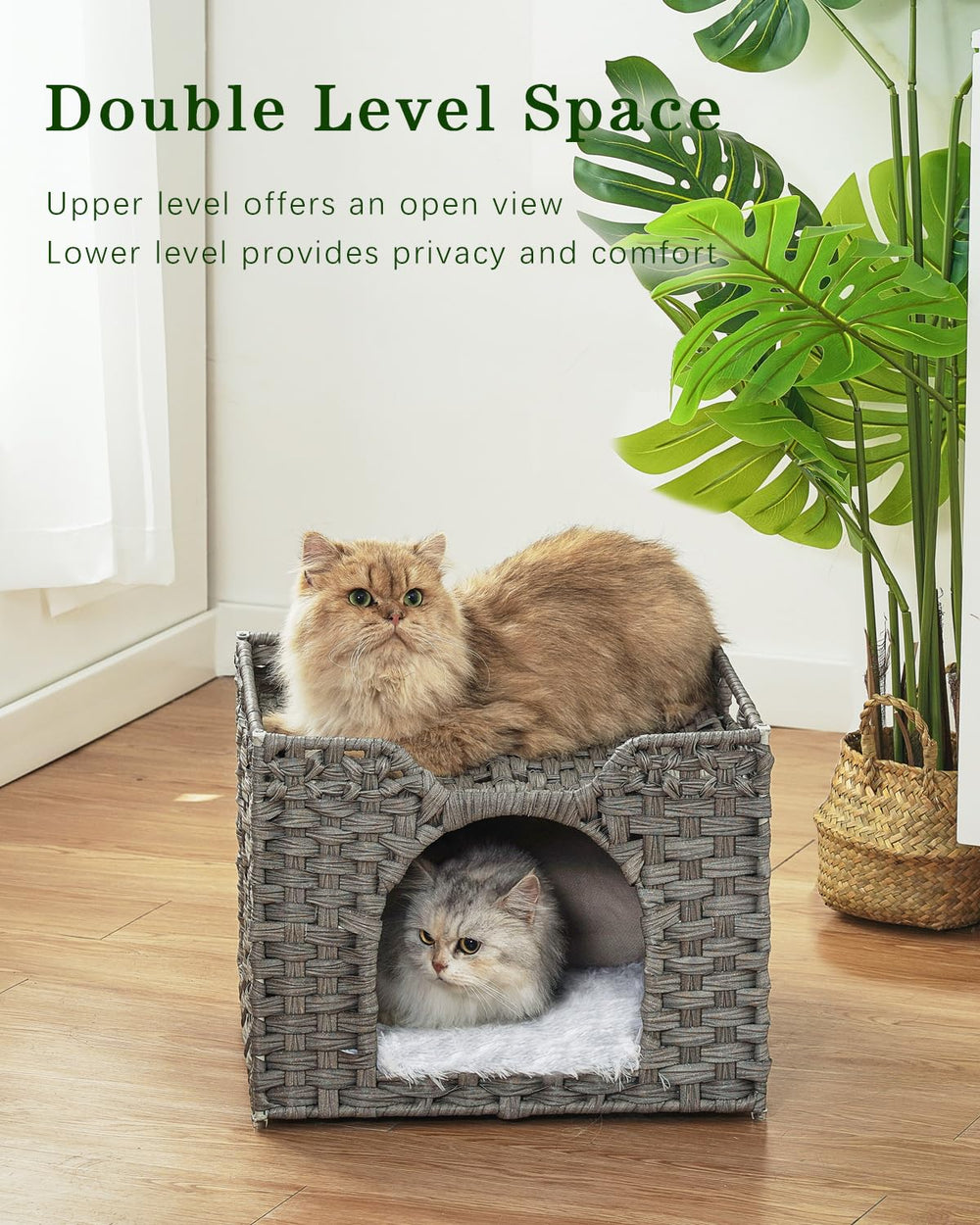SETVSON nid-chat-grande-dimension-16-5-pouces offre espace sûr pour chats.