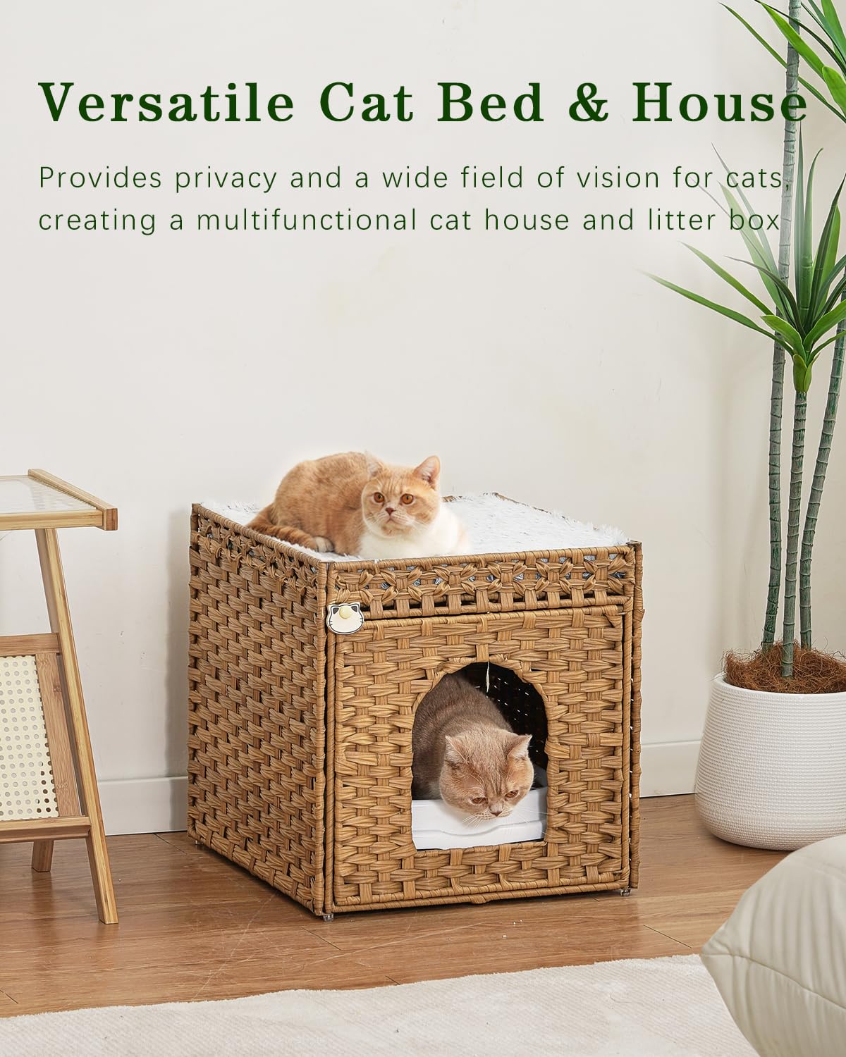 SETVSON usage salon: abri discret et chic pour votre chat.